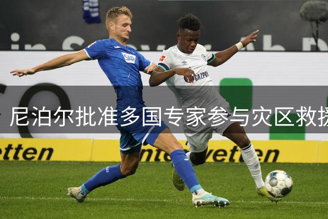尼泊尔批准多国专家参与灾区救援工作